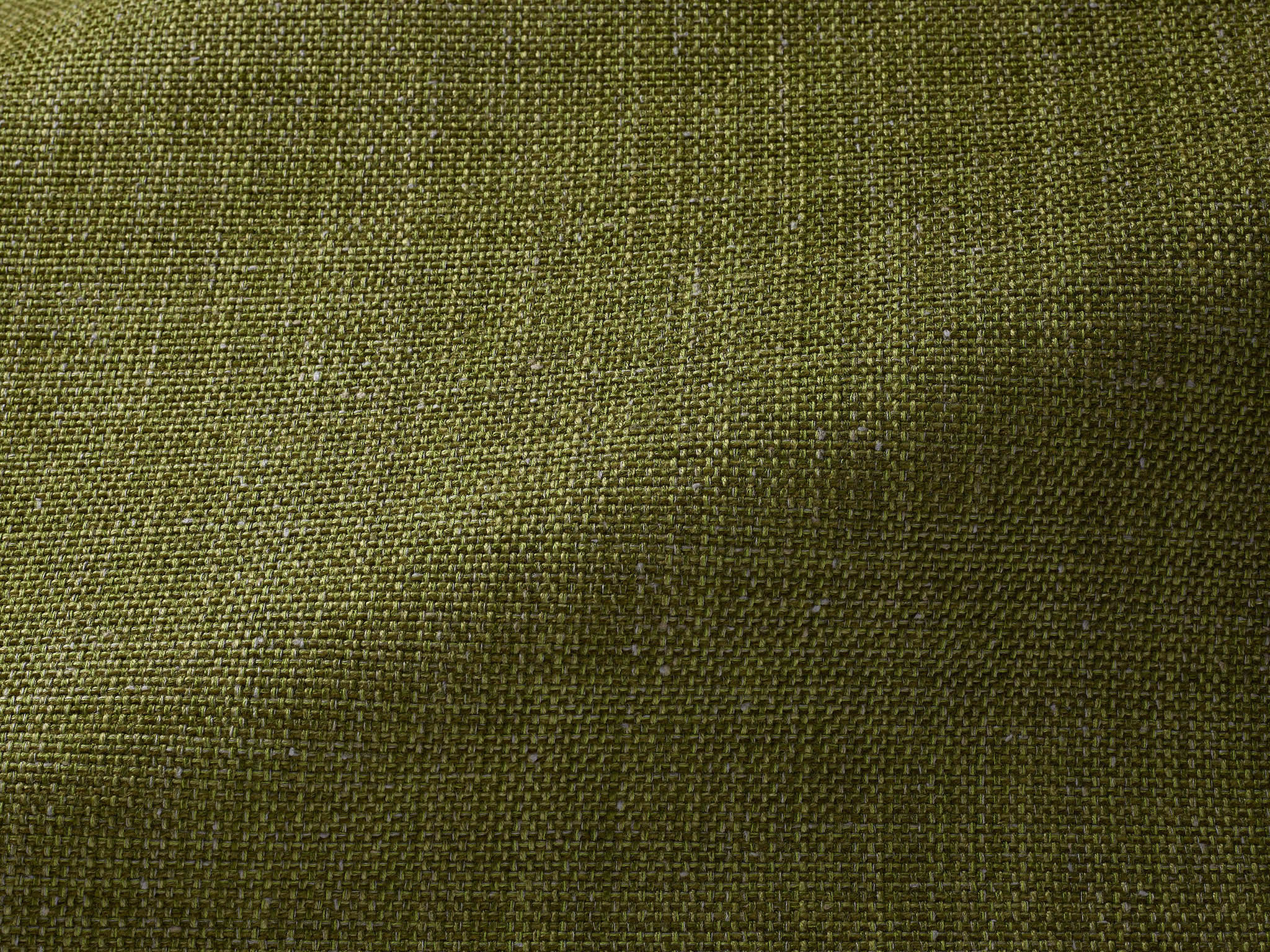 Pierre Frey Angkor Mousse Fabric F3521017