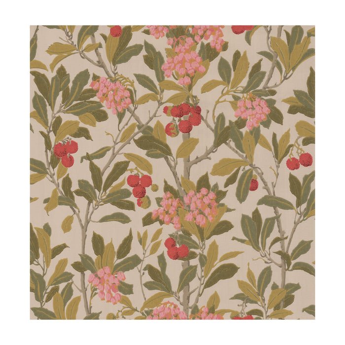 Cole & Son Strawberry Tree Pink & Linen Wallpaper Sample 100/10047.CS.0