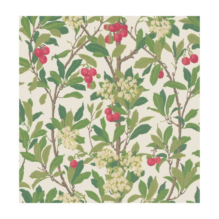 Cole & Son Strawberry Tree Scarlet & Ivory Wallpaper Sample 100/10049.CS.0