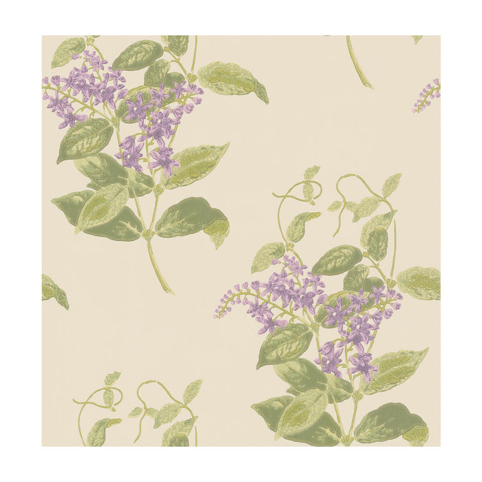 Cole & Son Madras Violet Olive & Lavender Wallpaper Sample 100/12056.CS.0