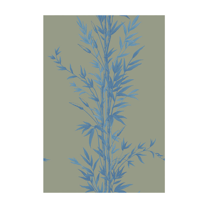 Cole & Son Bamboo Blue On Khaki Wallpaper Sample 100/5026.CS.0