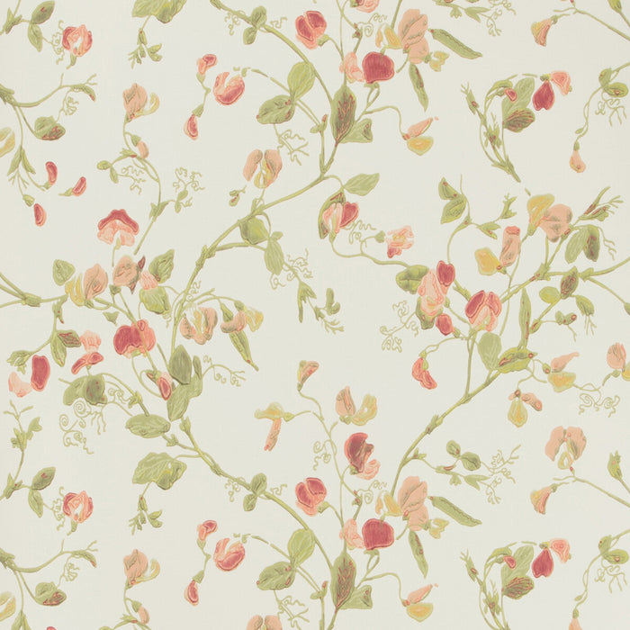 Cole & Son Sweet Pea Pink Wallpaper Sample 100/6028.CS.0