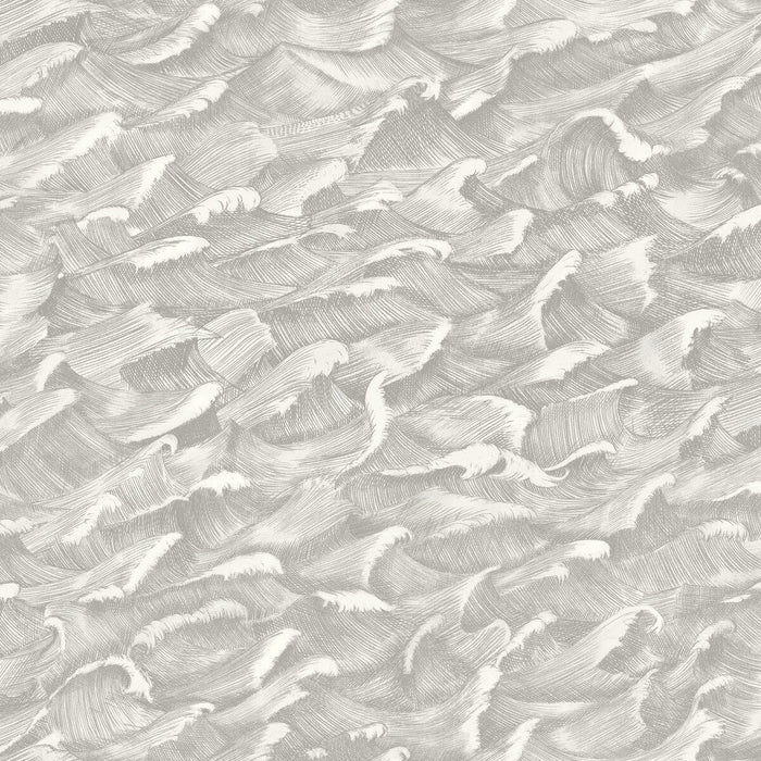 Cole & Son Columbus Black &White Wallpaper Sample 103/13055.CS.0