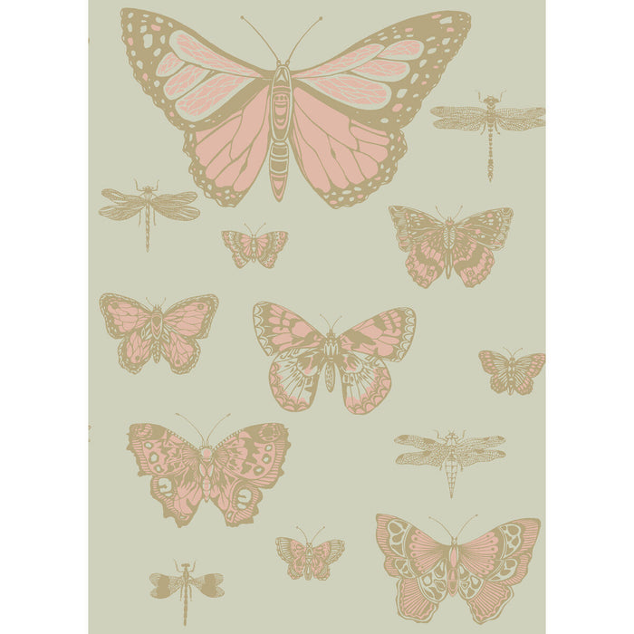 Cole & Son Butterflies & Dragonflies Pink On Oliv Wallpaper Sample 103/15063.CS.0