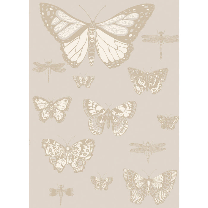 Cole & Son Butterflies & Dragonflies Grey Wallpaper Sample 103/15064.CS.0