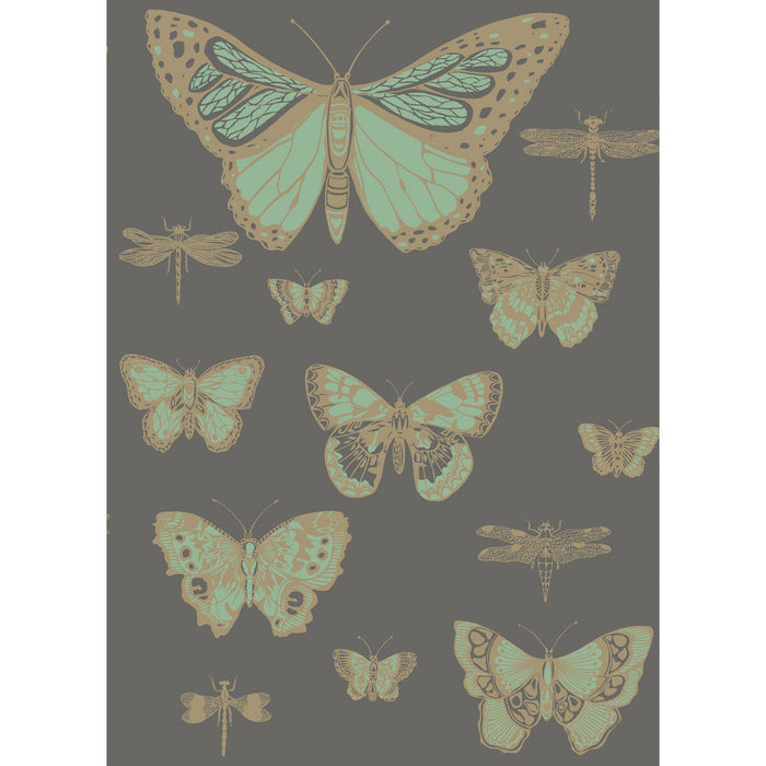 Cole & Son Butterflies & Dragonflies Green On Char Wallpaper Sample 103/15067.CS.0