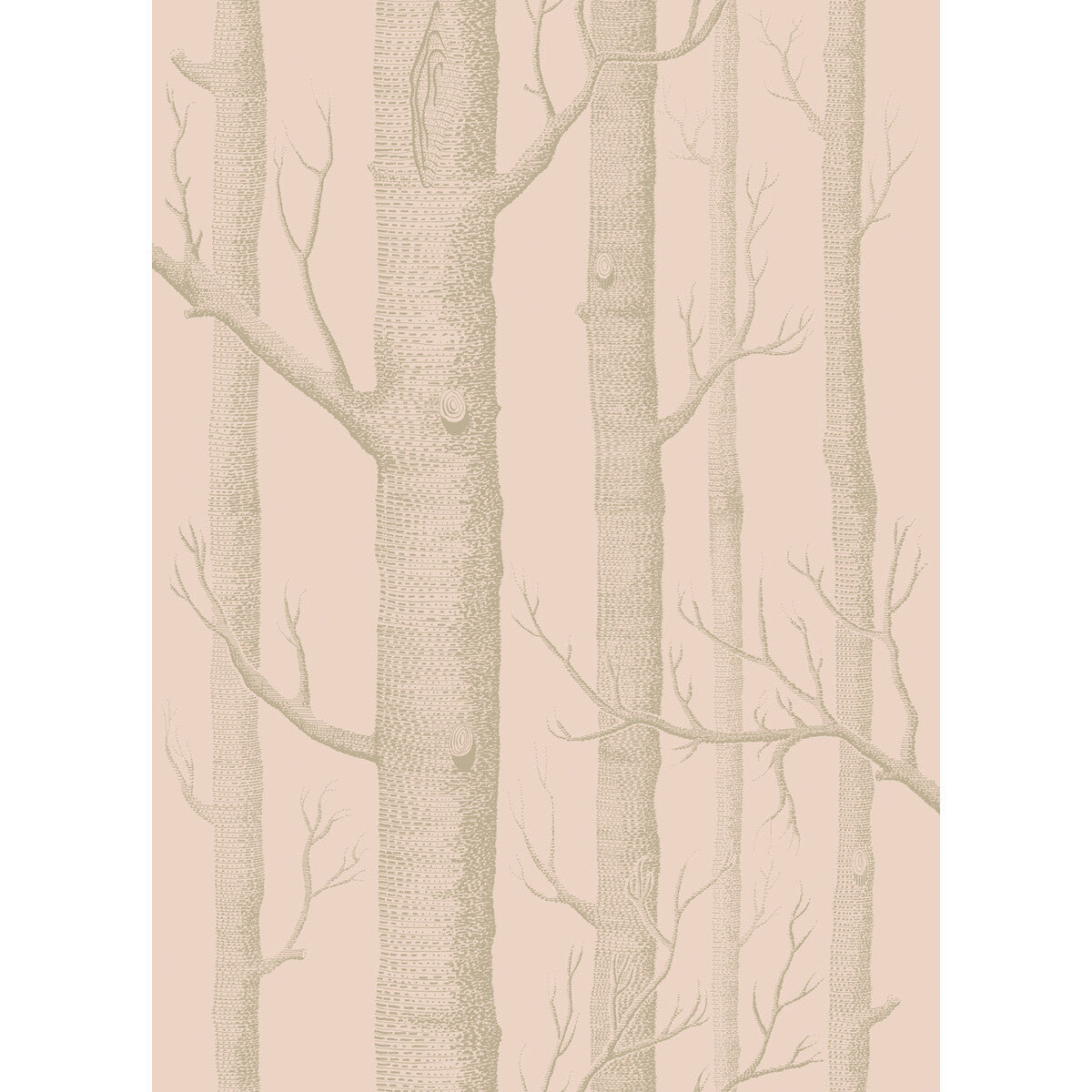 Cole & Son Woods Pink/Gilver Wallpaper Sample 103/5024.CS.0