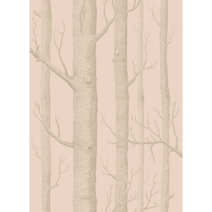 Cole & Son Woods Pink/Gilver Wallpaper Sample 103/5024.CS.0