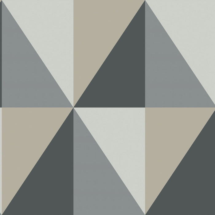 Cole & Son Apex Grand Grey And Black Wallpaper Sample 105/10043.CS.0