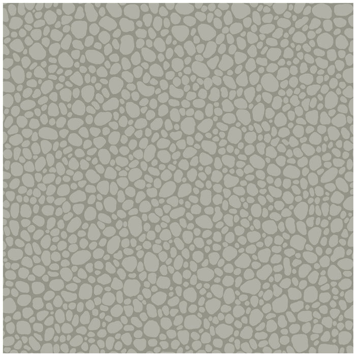 Cole & Son Pebble Grey Wallpaper Sample 106/2018.CS.0