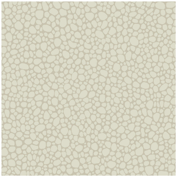 Cole & Son Pebble Stone Wallpaper Sample 106/2021.CS.0