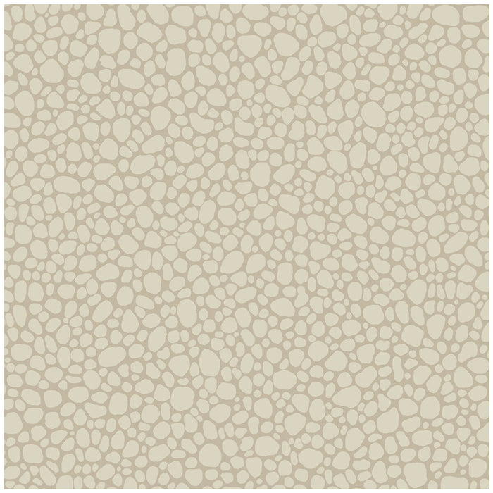 Cole & Son Pebble Parchment Wallpaper Sample 106/2022.CS.0