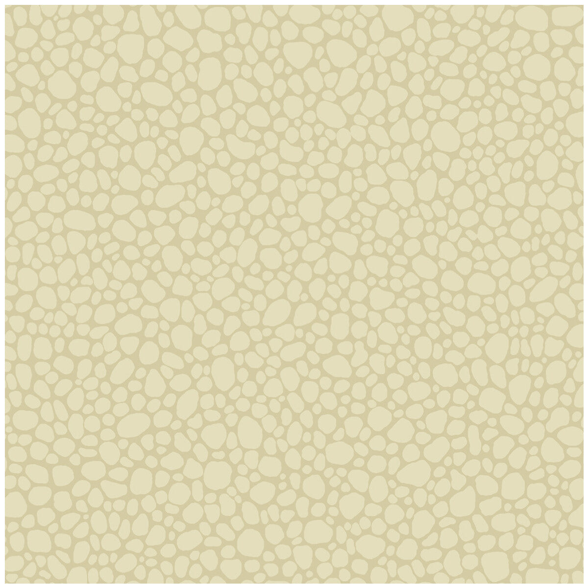 Cole & Son Pebble Cream Wallpaper Sample 106/2023.CS.0