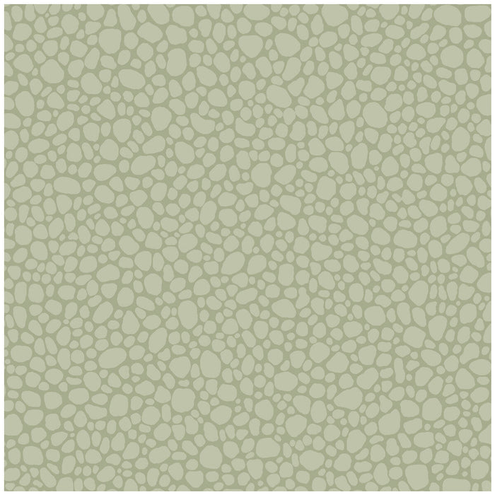 Cole & Son Pebble Sage Wallpaper Sample 106/2027.CS.0