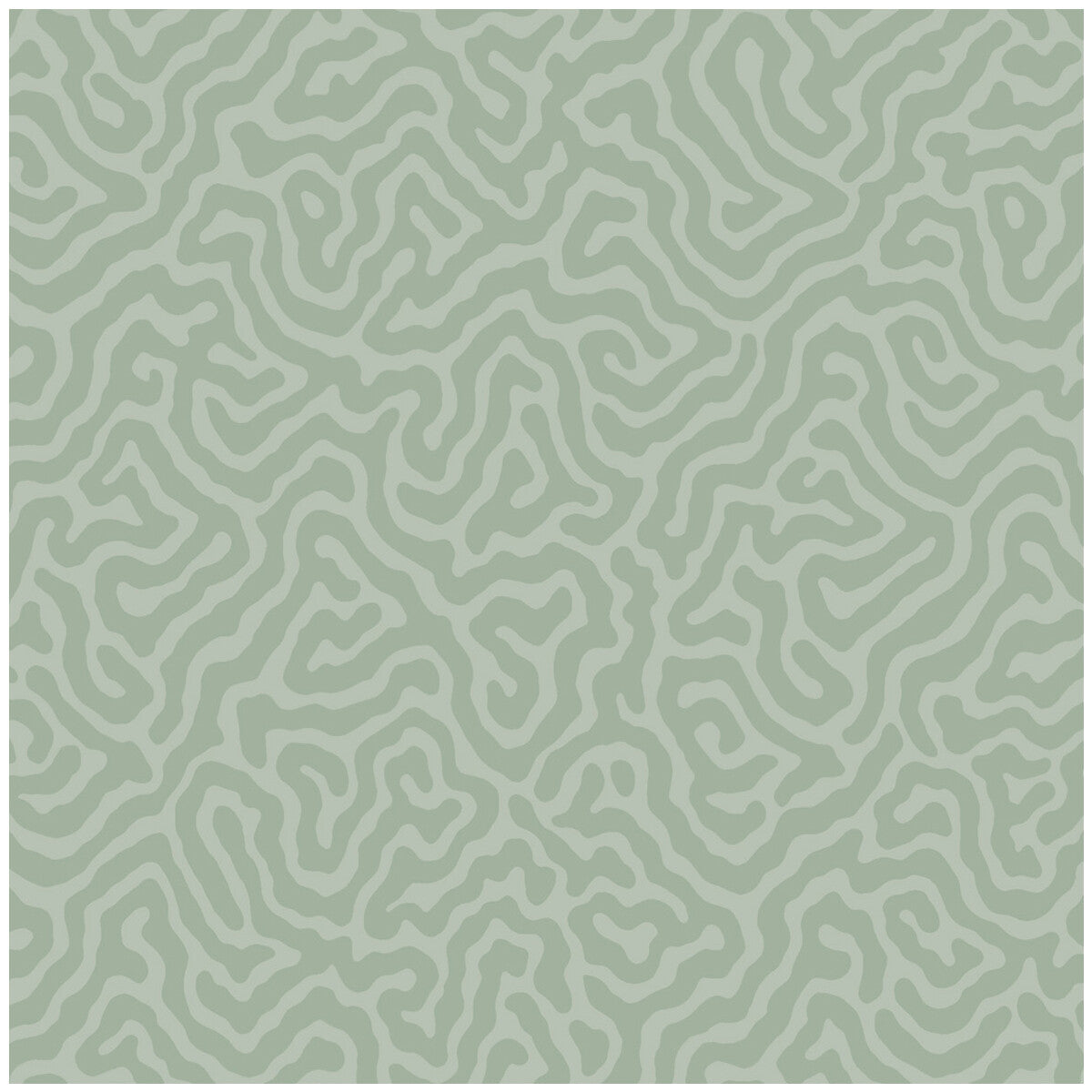 Cole & Son Coral Sage Wallpaper Sample 106/5066.CS.0