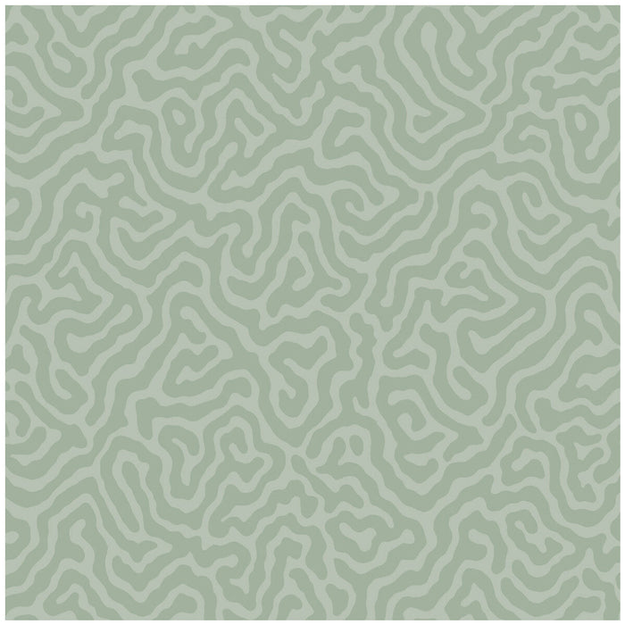 Cole & Son Coral Sage Wallpaper Sample 106/5066.CS.0