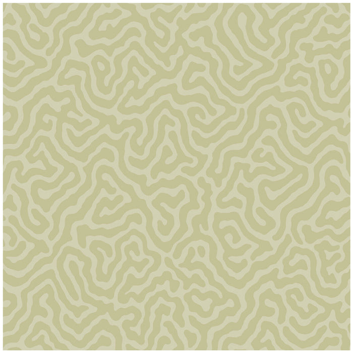 Cole & Son Coral Old Olive Wallpaper Sample 106/5067.CS.0