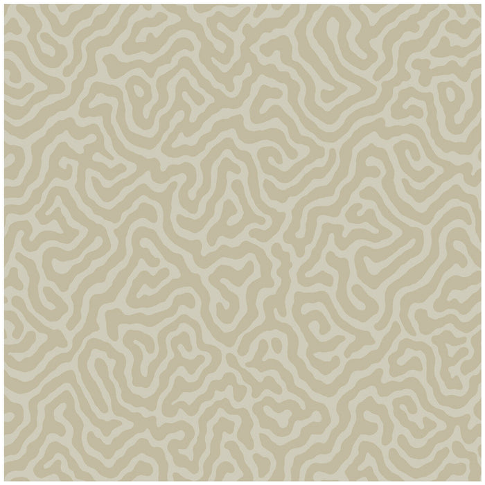 Cole & Son Coral Pale Stone Wallpaper Sample 106/5072.CS.0