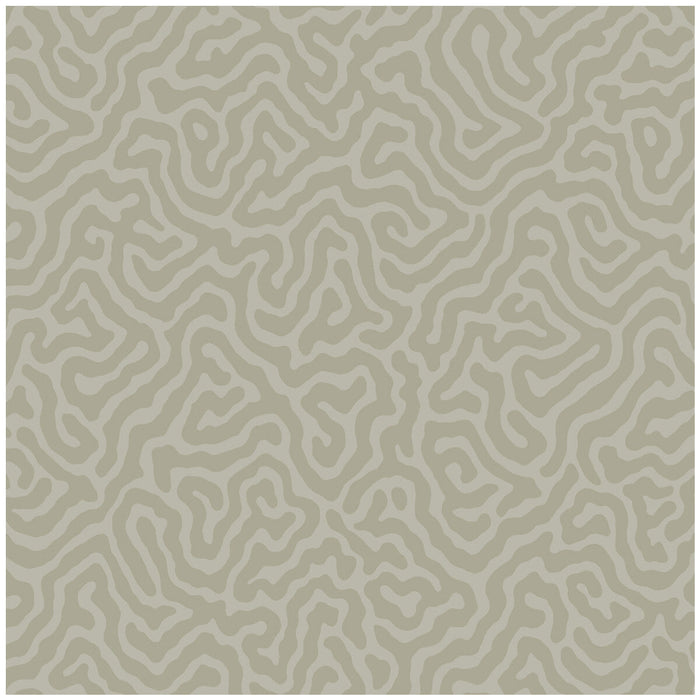 Cole & Son Coral Stone Wallpaper Sample 106/5073.CS.0