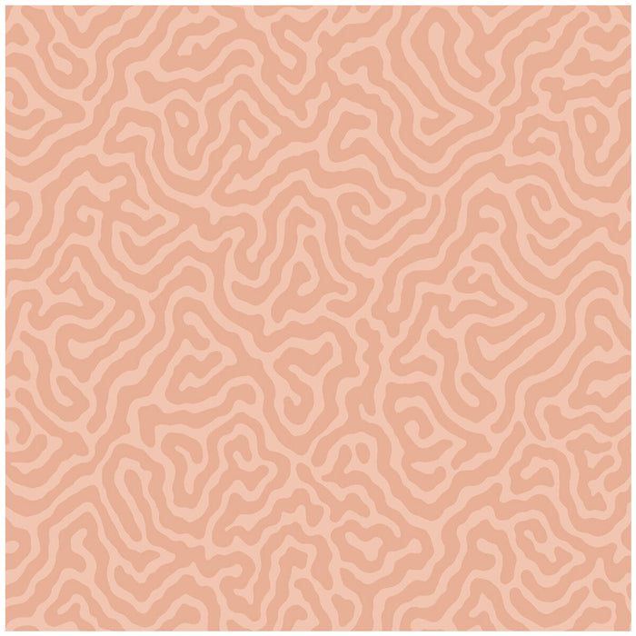 Cole & Son Coral Salmon Wallpaper Sample 106/5075.CS.0