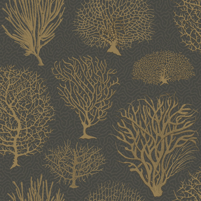 Cole & Son Seafern Black & Gold Wallpaper Sample 107/2006.CS.0