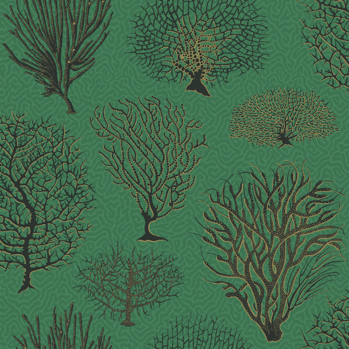 Cole & Son Seafern Emerald Wallpaper Sample 107/2007.CS.0