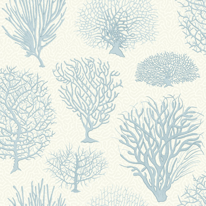 Cole & Son Seafern Blue Wallpaper Sample 107/2009.CS.0