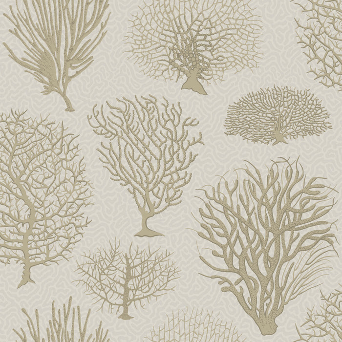 Cole & Son Seafern Stone Wallpaper Sample 107/2010.CS.0