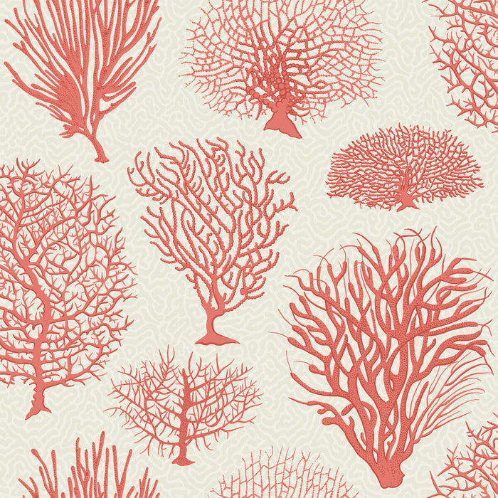 Cole & Son Seafern Coral Wallpaper Sample 107/2011.CS.0