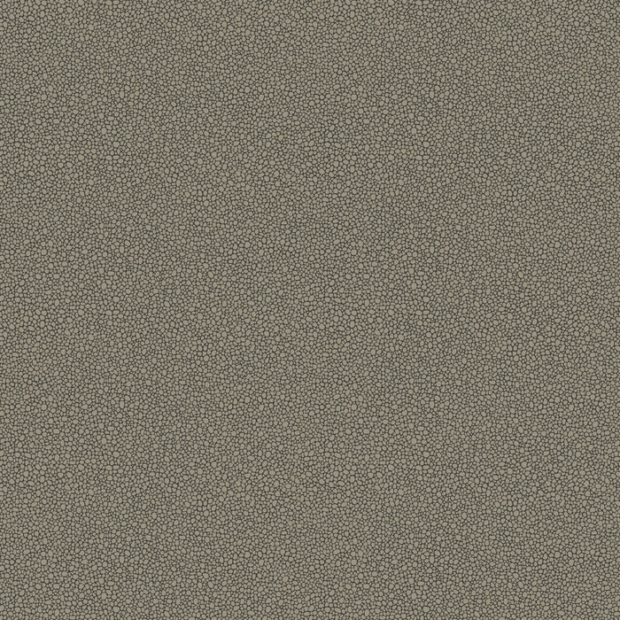 Cole & Son Goldstone Black & Silver Wallpaper Sample 107/9043.CS.0