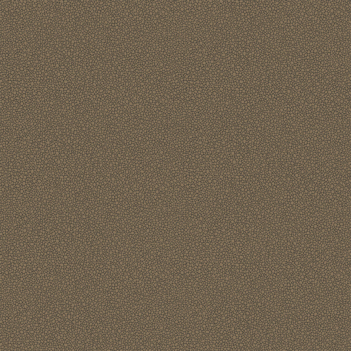 Cole & Son Goldstone Black & Bronze Wallpaper Sample 107/9044.CS.0