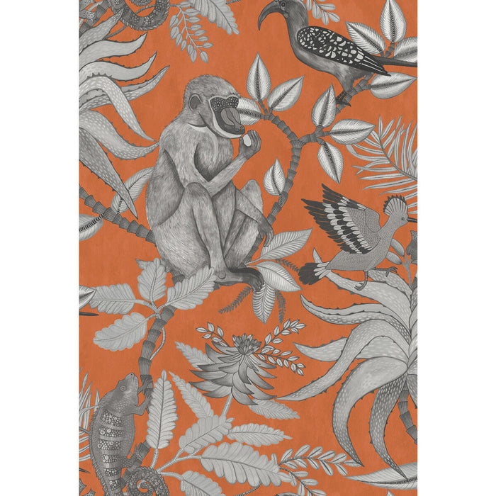 Cole & Son Savuti Orange Wallpaper Sample 109/1001.CS.0