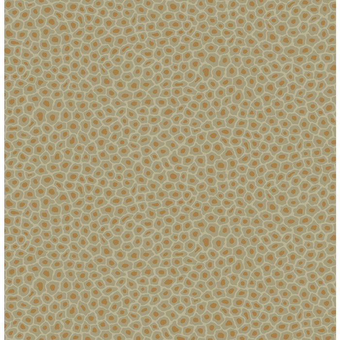 Cole & Son Senzo Spot Olive Wallpaper Sample 109/6029.CS.0