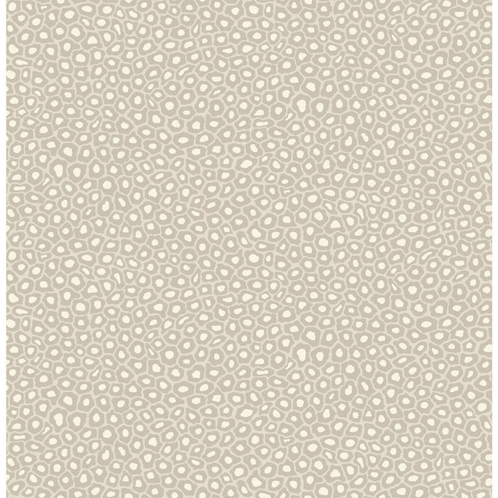 Cole & Son Senzo Spot Stone & White Wallpaper Sample 109/6030.CS.0