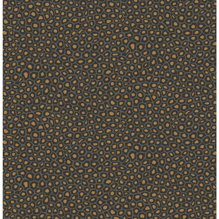 Cole & Son Senzo Spot Charcoal Wallpaper Sample 109/6032.CS.0