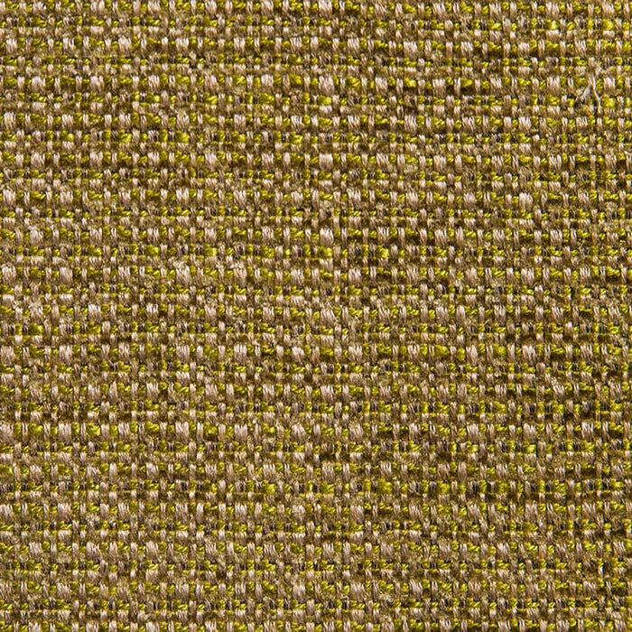 Calvin Nexus Texture (11159) Frond Fabric Sample 11160