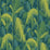 Cole & Son Palm Jungle Petrol/Lime Wallpaper Sample 112/1002.CS.0