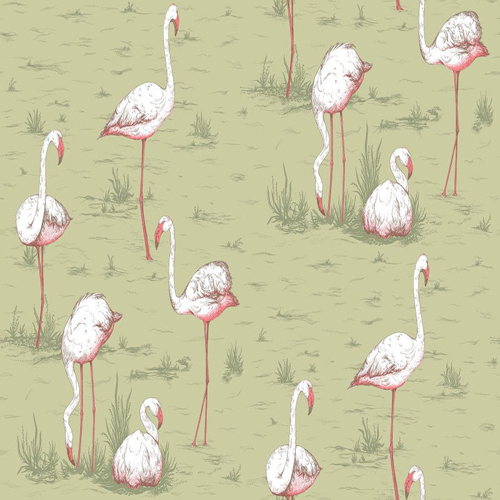 Cole & Son Flamingos Olive Wallpaper Sample 112/11038.CS.0