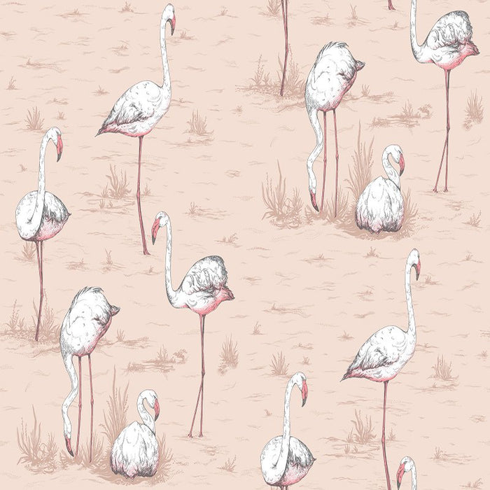 Cole & Son Flamingos Plaster Pink Wallpaper Sample 112/11039.CS.0