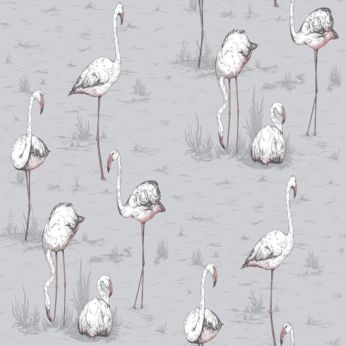 Cole & Son Flamingos Grey Wallpaper Sample 112/11040.CS.0