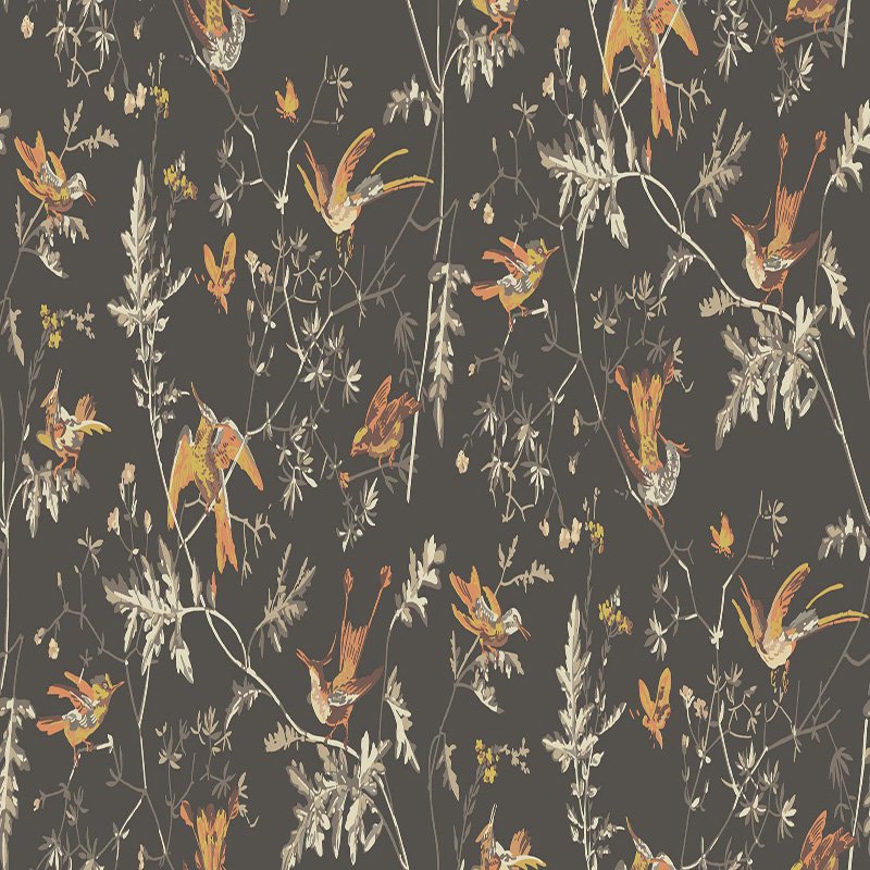 Cole & Son Hummingbirds Charcoal/Ginger Wallpaper Sample 112/4017.CS.0