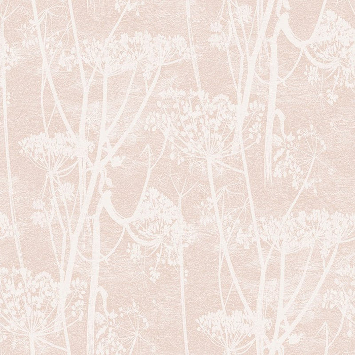 Cole & Son Cow Parsley Plaster Pink Wallpaper Sample 112/8028.CS.0