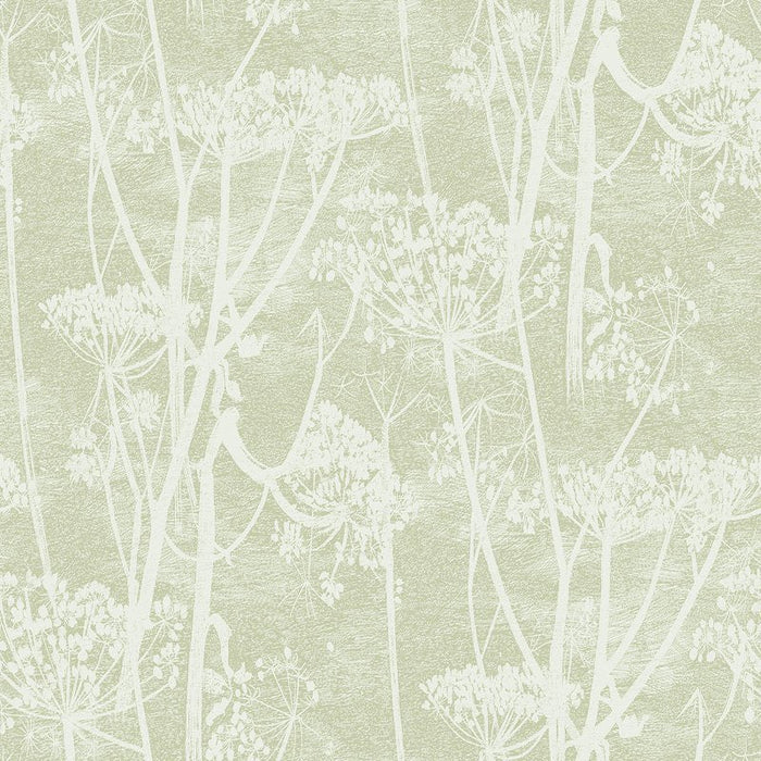 Cole & Son Cow Parsley Olive Wallpaper Sample 112/8029.CS.0