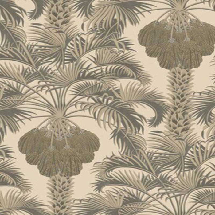 Cole & Son Hollywood Palm Silver & Charcoal Wallpaper Sample 113/1003.CS.0