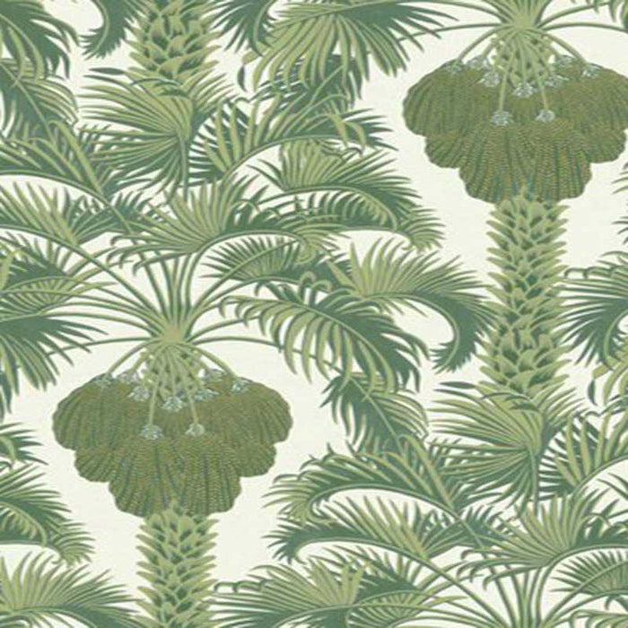 Cole & Son Hollywood Palm Leaf Green Wallpaper Sample 113/1004.CS.0