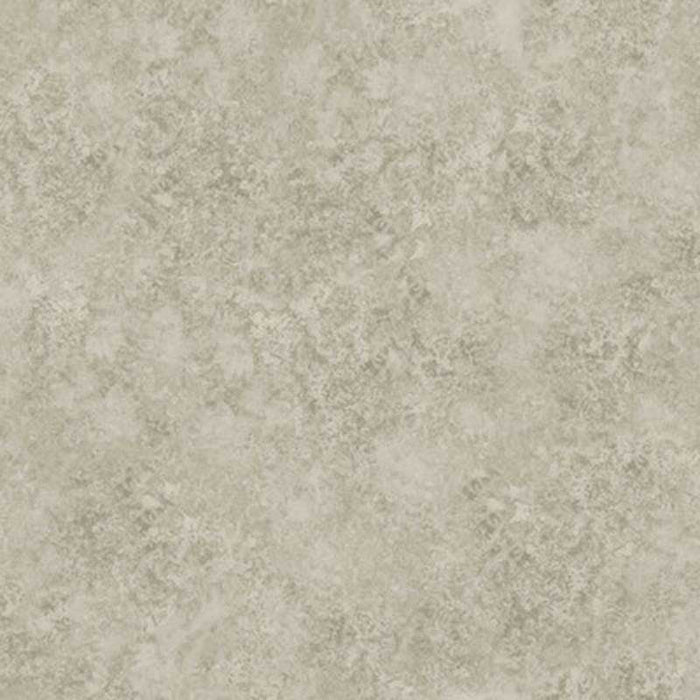 Cole & Son Patina Haze Warm Gilver Wallpaper Sample 113/9026.CS.0