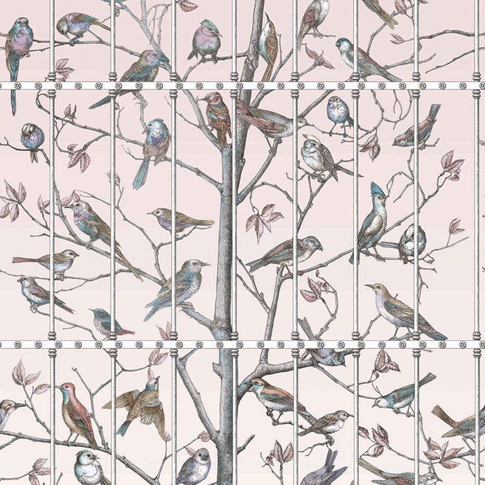 Cole & Son Uccelli Ballet Slipper Wallpaper Sample 114/11022.CS.0