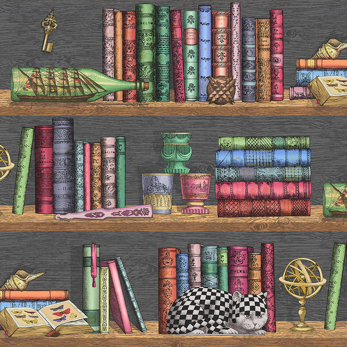 Cole & Son Libreria Rich Multi Wallpaper Sample 114/13025.CS.0