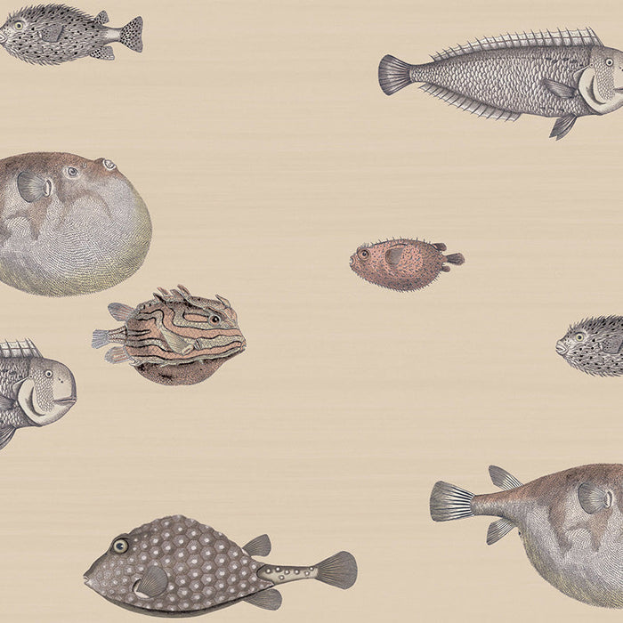 Cole & Son Acquario Taupe Wallpaper Sample 114/16033.CS.0