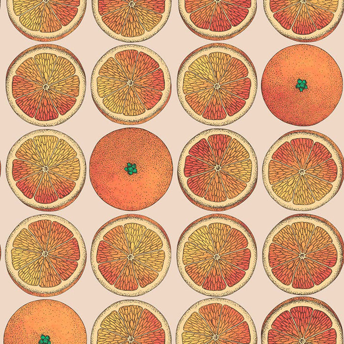 Cole & Son Arance Orange/Cream Wallpaper Sample 114/24047.CS.0